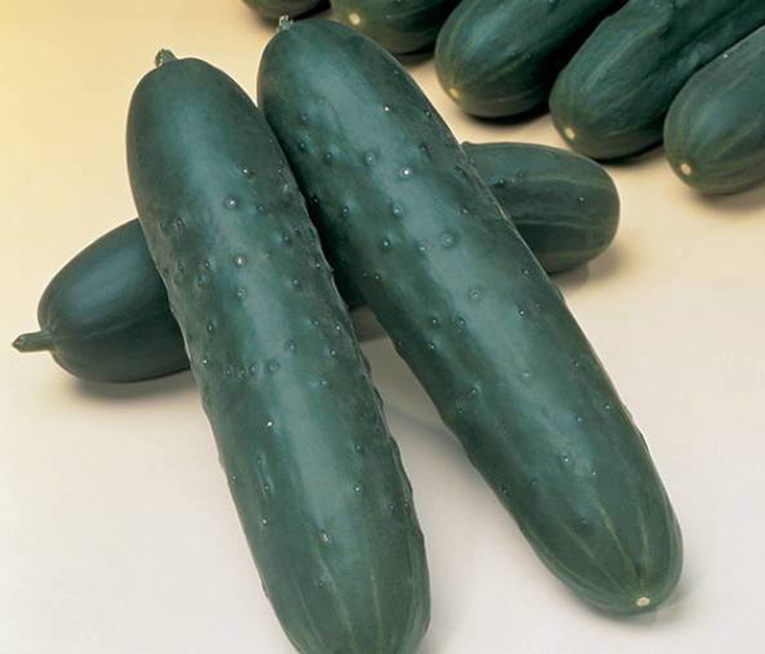 Cucumber, Akito