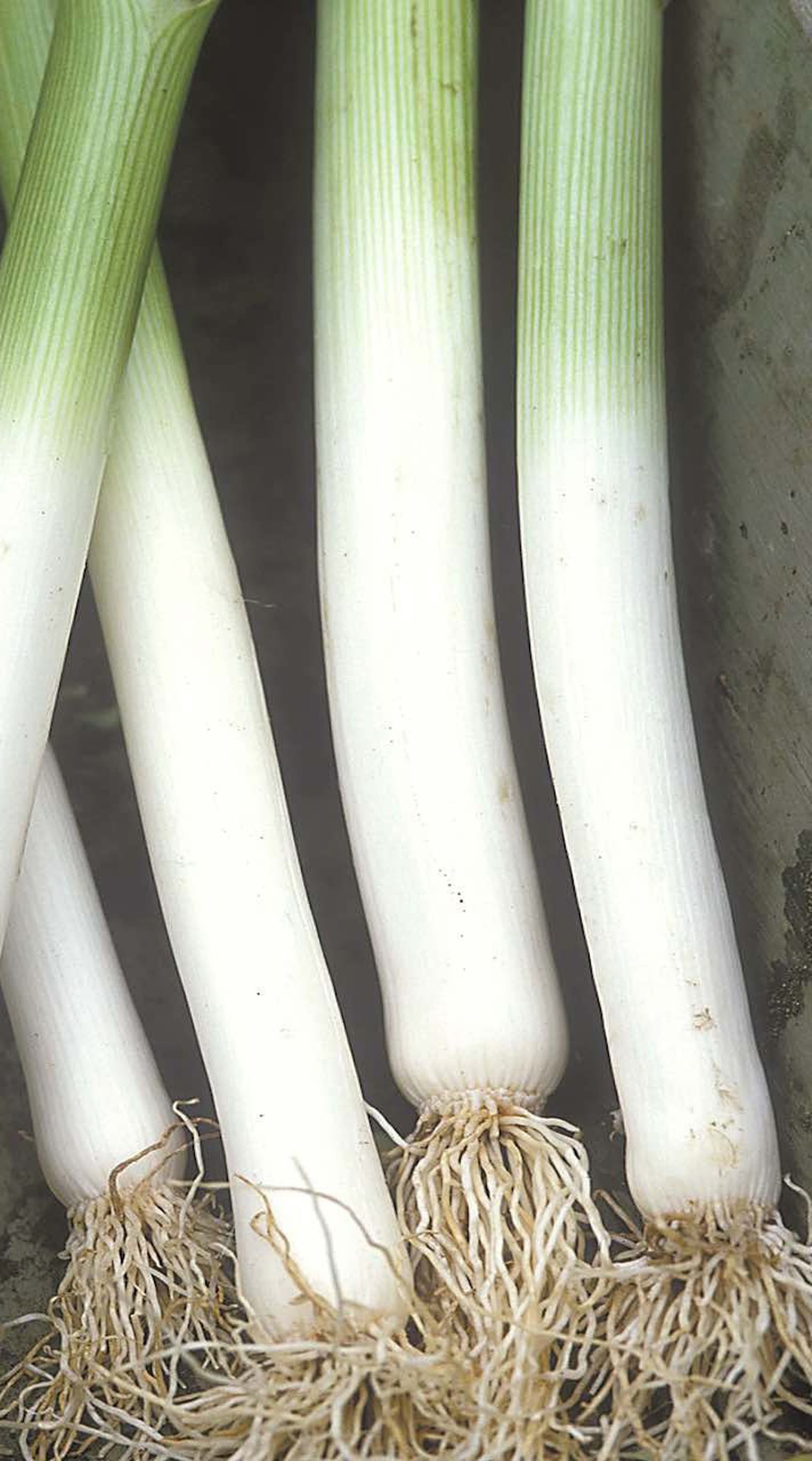 Hannibal Leeks