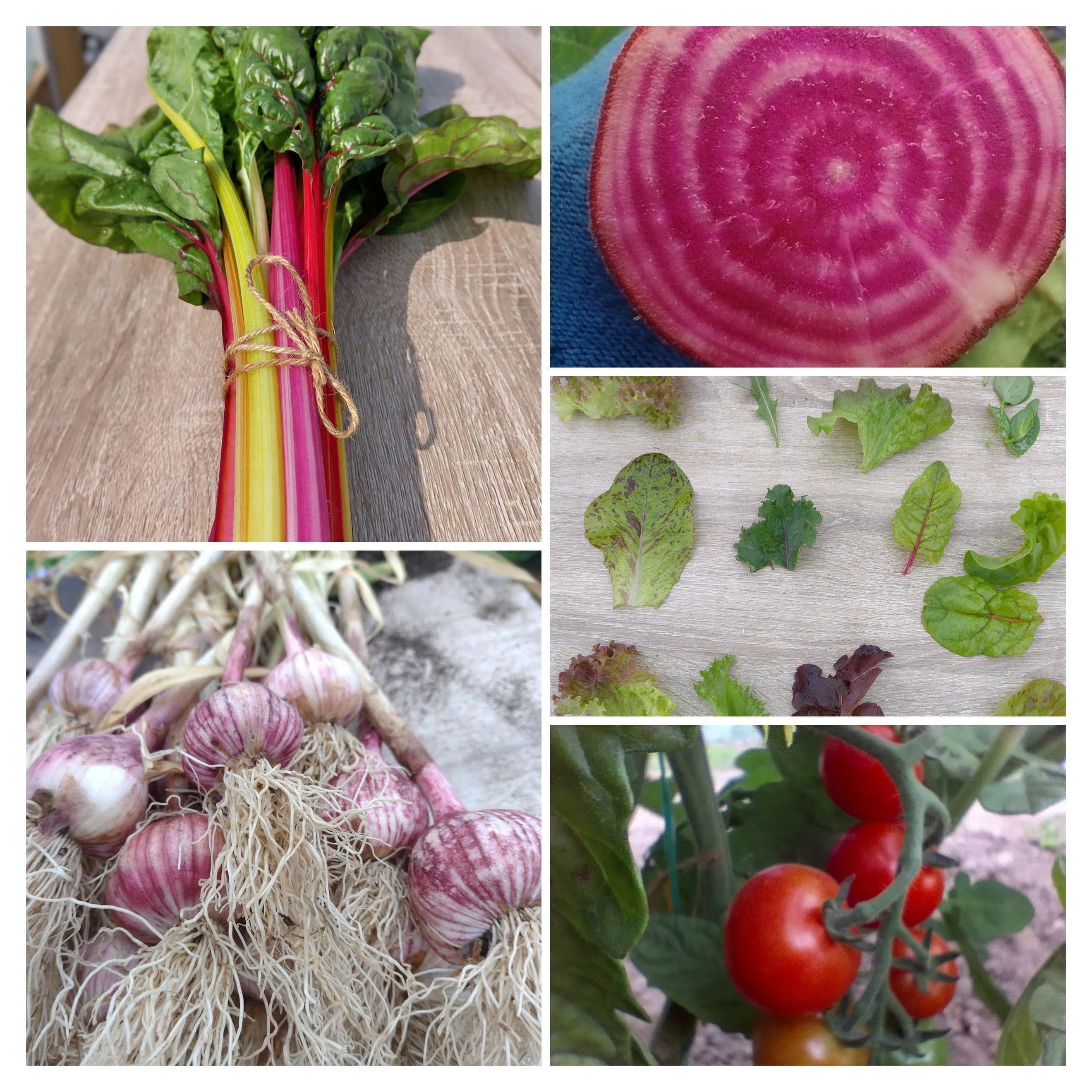 Summer Salad & Seasonal Harvest Subscription
